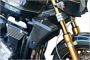 ZRX1200 DAEG ドレスアップ ノジマ ラジエターシュラウド カーボン