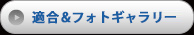 適合&フォトギャラリー